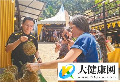从果园到餐桌，一颗榴莲串联中马合作新场景