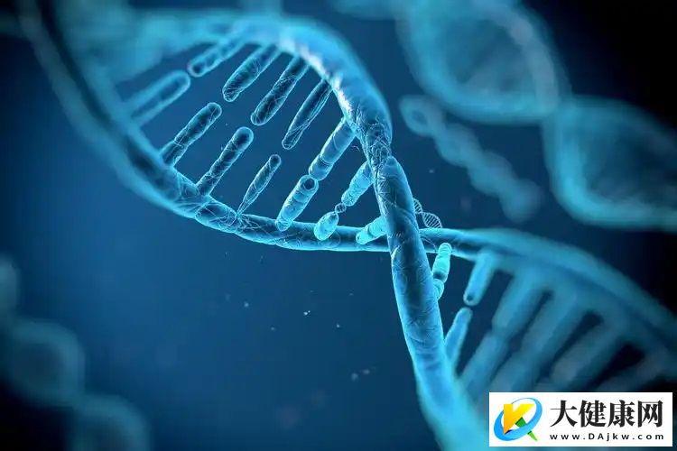 利用骡子DNA绘成马和驴完整参考基因组